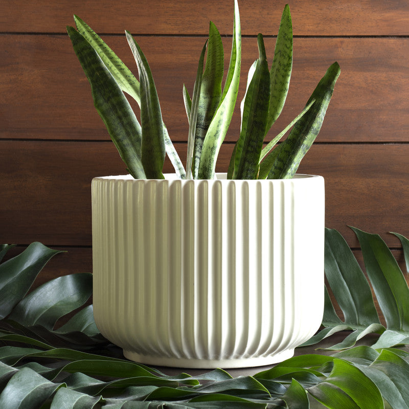 Ceramic Large Planter | Ivory By Harla Arts