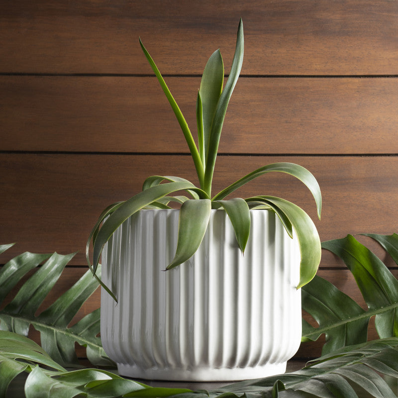 Ceramic Planter | Medium | White By Harla Arts