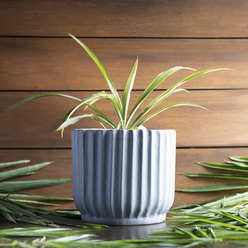 Ceramic Small Planter | Grey
