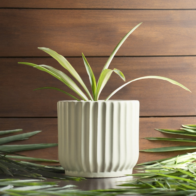 Ceramic Small Planter | Ivory