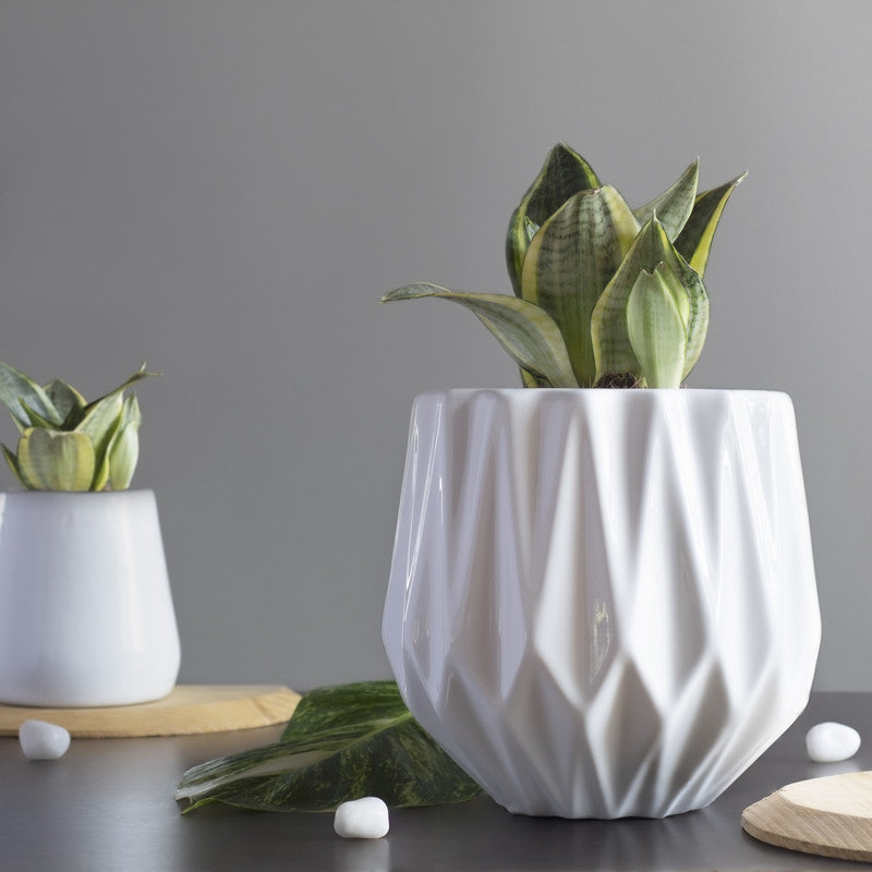 Ceramic Planter | Ceramic Pot | Medium | White