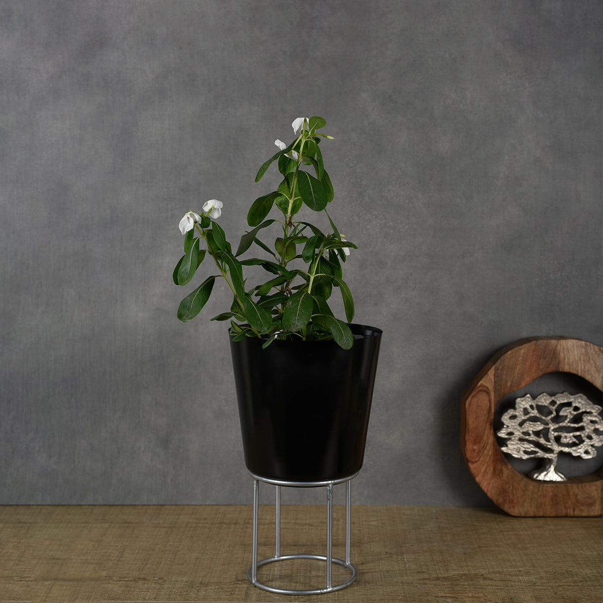 Iron Planter with Stand | Black | 30 cm By Manor House