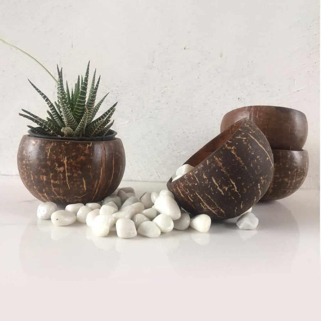 Coconut Planter | Indoor Plant Pots | Handmade By Thenga