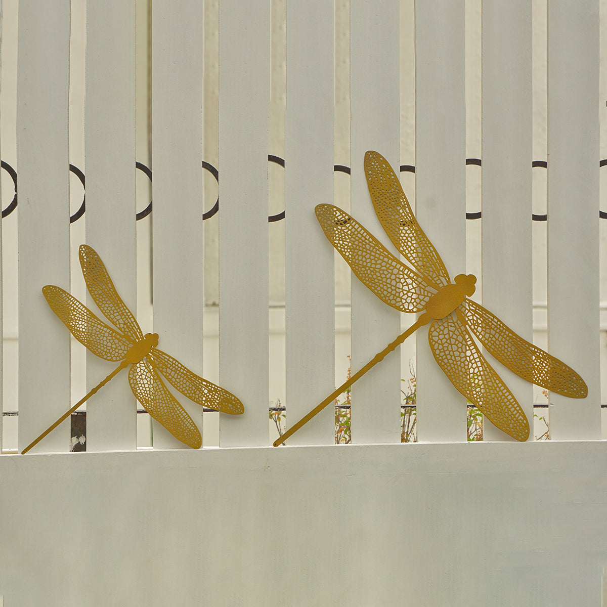 Iron Wall Accents | Dragon Fly Design | Gold By Abel House