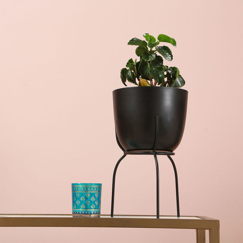 Iron Planter with Stand | Black