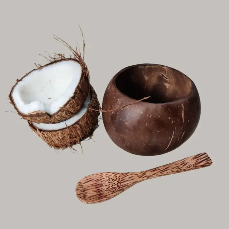 Coconut Shell Bowl & Spoon Set | Brown | Set of 2 By Onearth