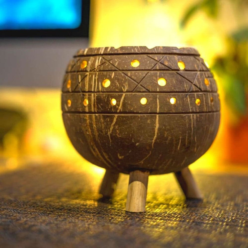 Coconut Shell Planter | Brown | Height:-11cm & Diameter:-11cm