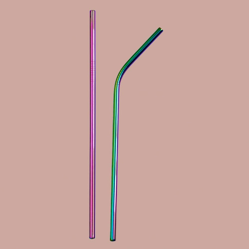 Stainless Steel Straws With Cleaner | Rainbow | Set of 2 By Onearth
