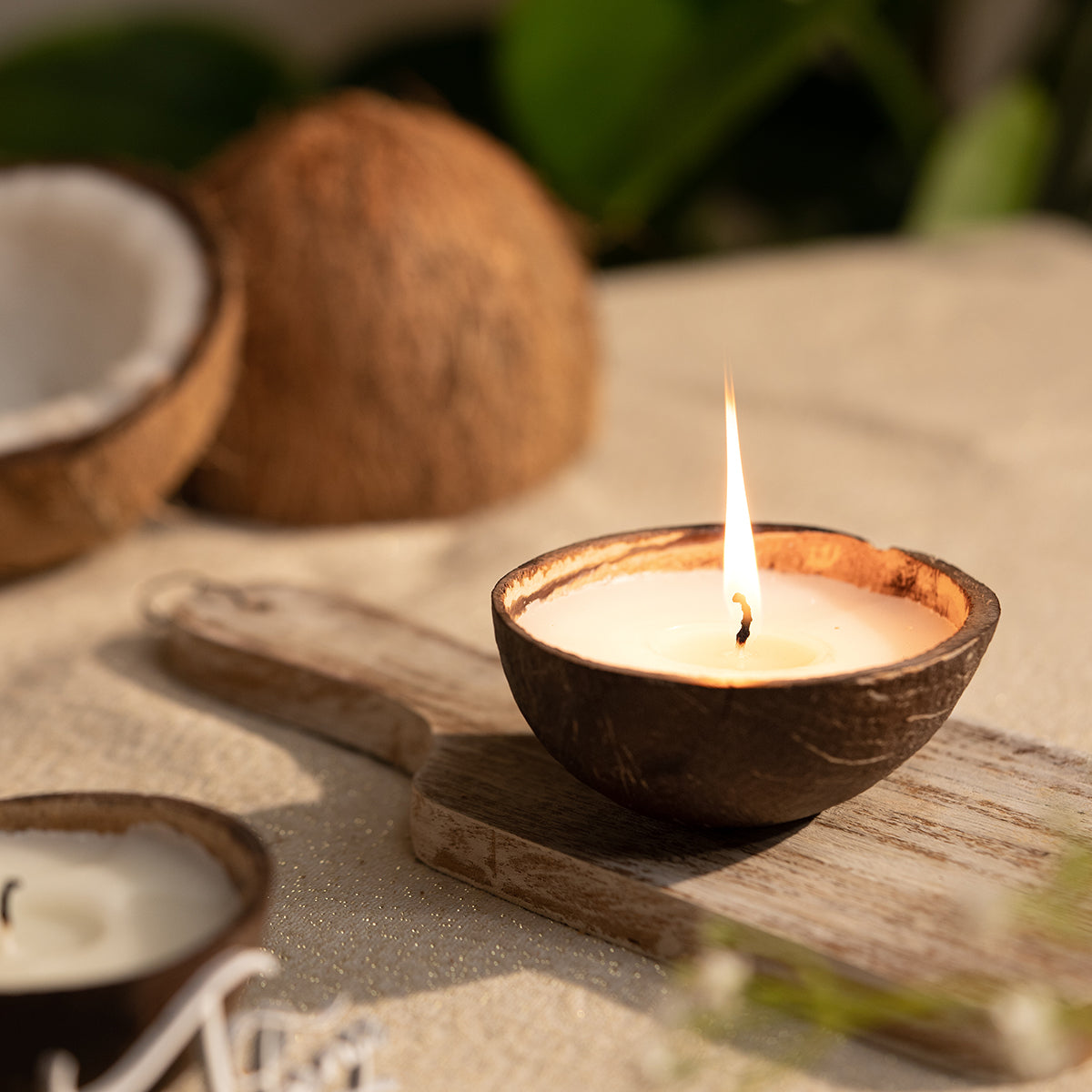 Organic Scented Candles | Coconut Fragrance | Set of 2 By Thenga