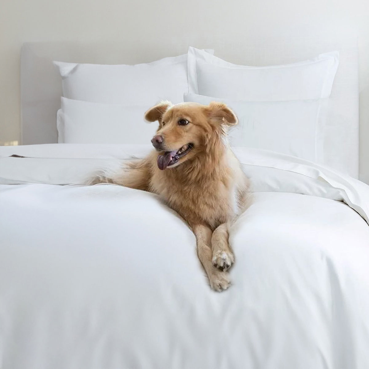 Organic Cotton Pillow Covers | Set of 2 | White By Amouve