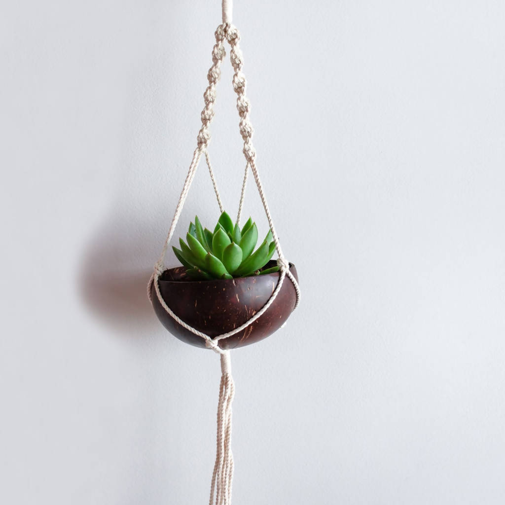 Handcrafted Coconut Shell Macrame Plant Hanger By Thenga